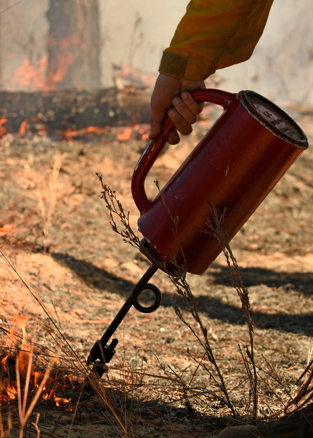 Environmental protection efforts set Poinsett ablaze