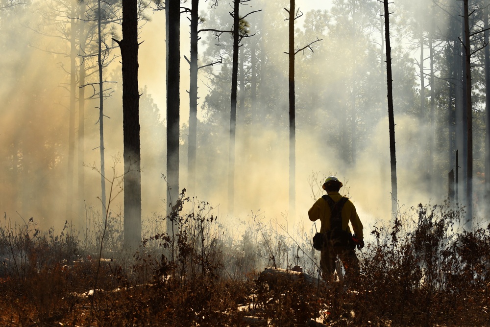Environmental protection efforts set Poinsett ablaze