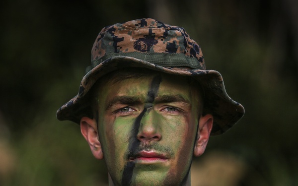 May the best division win