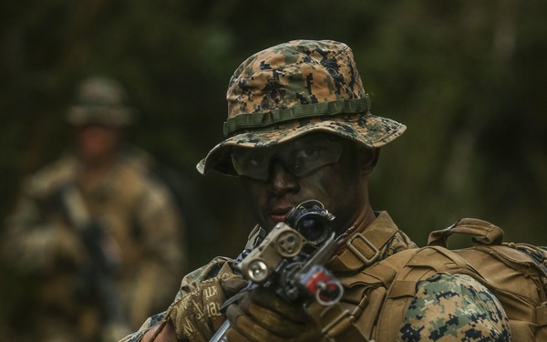 May the best division win