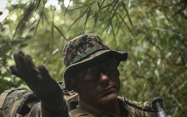 May the best division win