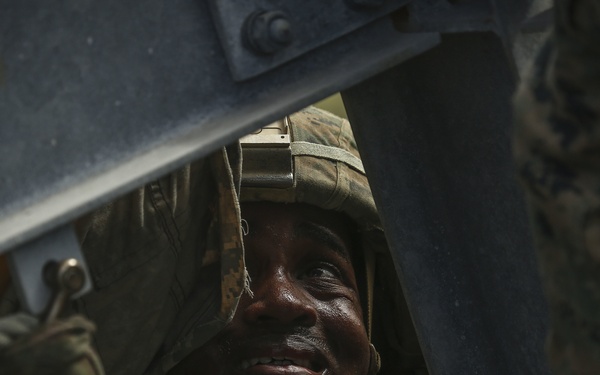 May the best division win