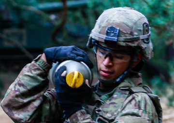 1-7 Field Artillery Battery Qualifications in Poland