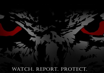 Eagle Eyes enables Airmen to ensure security