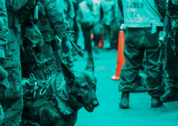 MEU Marines wrap up COMPTUEX with final event