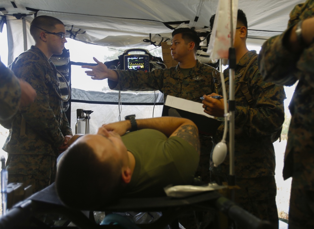 Operation Cold Turkey heats up: 2nd Med Bn trains to save lives