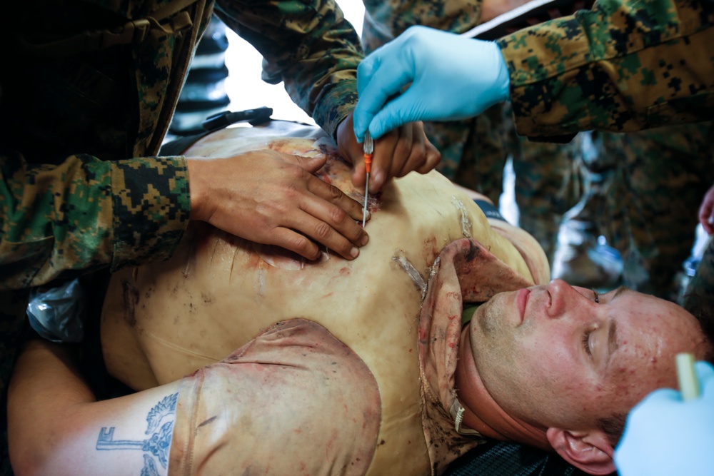 Operation Cold Turkey heats up: 2nd Med Bn trains to save lives