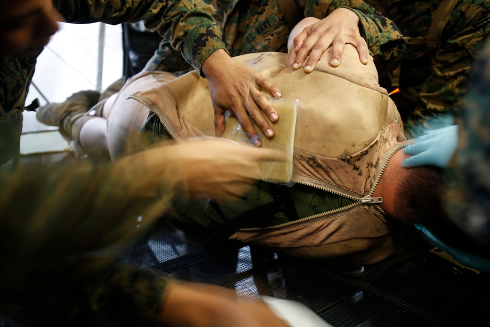 Operation Cold Turkey heats up: 2nd Med Bn trains to save lives