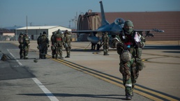 VIGILANT ACE 18 cell boss