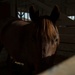 Saving the Horses