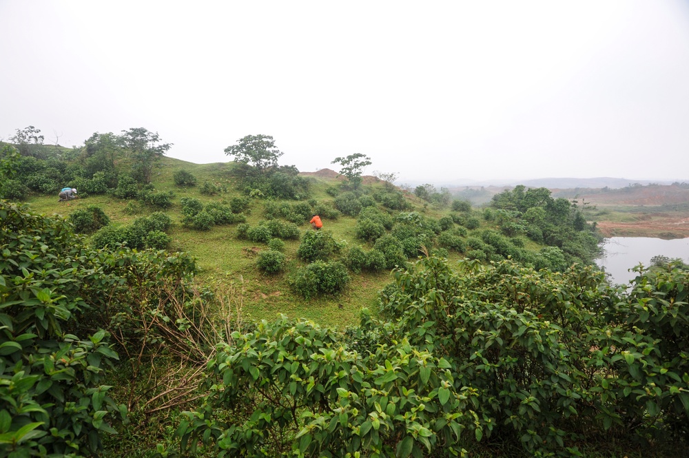 DPAA Research and Investigation Team in Vietnam