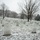 First Snow of the Season at Arlington National Cemetery A snow-dusted military cemetery, likely Arlington National Cemetery, photographed during winter snowfall. Rows of uniform white marble headstones extend across a hillside landscape with bare deciduous trees. The foreground prominently features the gravestone of Robert Leon Duley, a World War II veteran from Connecticut.