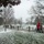 First Snow of the Season at Arlington National Cemetery A winter scene at what appears to be Arlington National Cemetery, with a light snow dusting covering the ground and grave markers. Visitors are walking along a paved path lined with wooden posts and chain fencing, surrounded by bare deciduous trees. The overcast sky and snow-covered landscape create a somber, muted atmosphere.