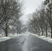 First Snow of the Season at Arlington National Cemetery