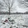 First Snow of the Season at Arlington National Cemetery A snow-covered military cemetery, likely Arlington National Cemetery, photographed during winter with bare deciduous trees in the background. The foreground features a prominent white marble headstone for Merlin Robert Buterbaugh, a Sergeant Major of the U.S. Marine Corps, with a snow-dusted evergreen wreath with red ribbon placed at its base. The scene conveys solemnity and remembrance in a cold, overcast winter setting.