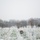 First Snow of the Season at Arlington National Cemetery A military cemetery covered in a light dusting of snow during winter, with rows of uniform white marble headstones extending across the landscape. A single red and green wreath is placed among the graves in the foreground, suggesting a memorial or holiday tribute. Bare trees and a red brick archway structure are visible in the misty background.