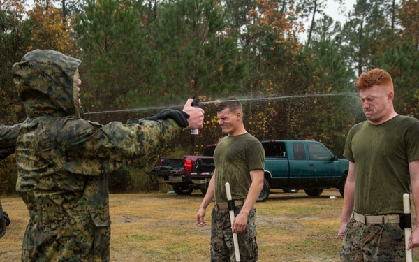3rd Battalion 8th Marines Non-Lethal Weapons Training