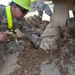 Stuck in the sand