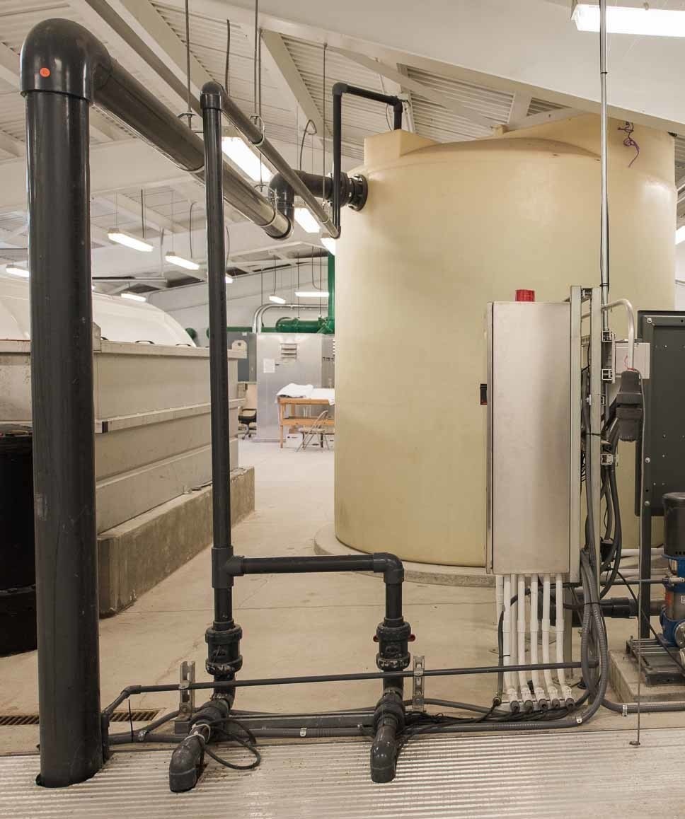 Team Tobyhanna achieves Net Zero goal 2 years early