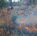 Late-fall prescribed burns help cut wildfire risk, improve habitat at Fort McCoyLate-fall prescribed burns help cut wildfire risk, improve habitat at Fort McCoy