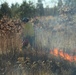 Late-fall prescribed burns help cut wildfire risk, improve habitat at Fort McCoyLate-fall prescribed burns help cut wildfire risk, improve habitat at Fort McCoy