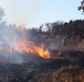 Late-fall prescribed burns help cut wildfire risk, improve habitat at Fort McCoyLate-fall prescribed burns help cut wildfire risk, improve habitat at Fort McCoy