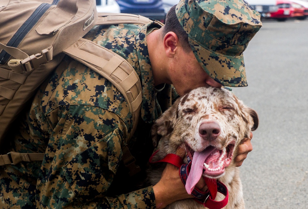 1/3 returns from Pacific deployment