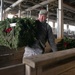 102nd Intelligence Wing Airmen receive and prepare wreaths for Wreaths Across America Event