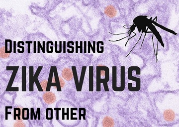 NAMRU-6 Presents Research On Distinguishing Zika Virus Cases From Other Arboviral Infections