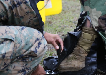 Combating chemical and biological weapons of mass destruction