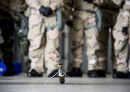 CBRN training a priority for Liberty Wing