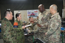 bilateral coordination