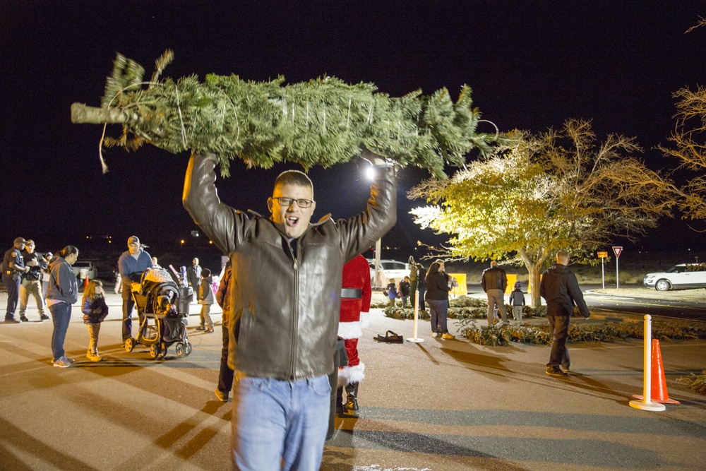 Trees for troops and tree lighting on base