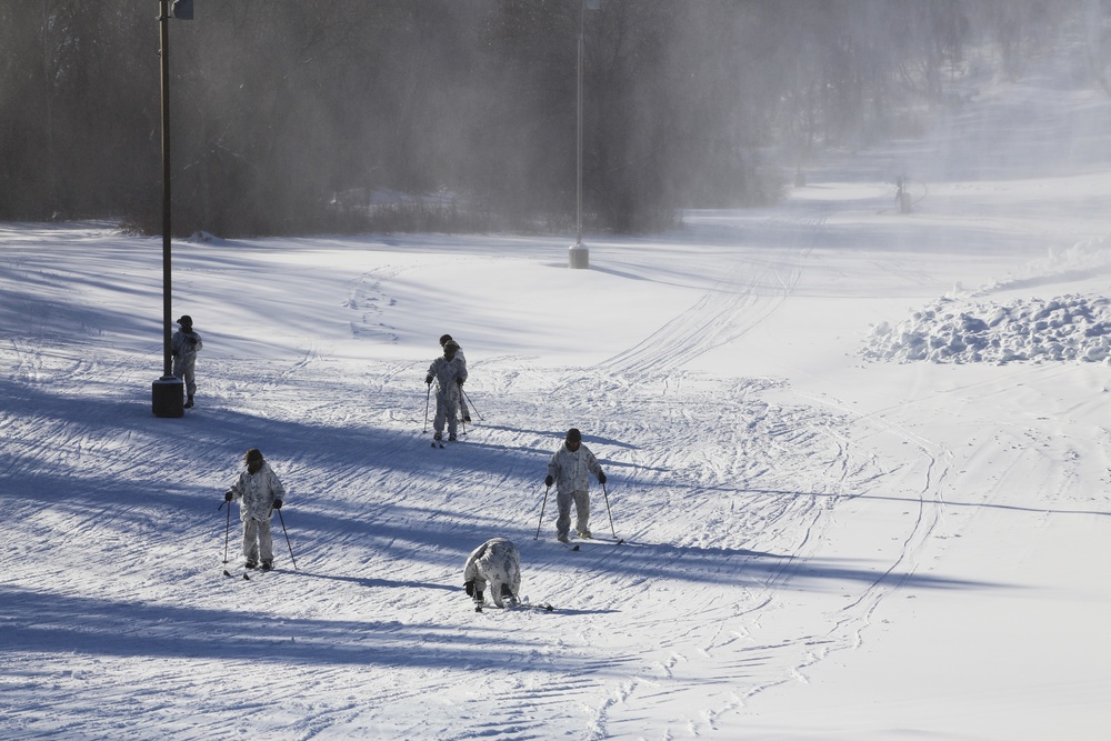 Cold-Weather Operations Course students practice skiing at Fort McCoy