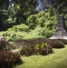 CAT Palau: Peleliu Memorial Maintenance