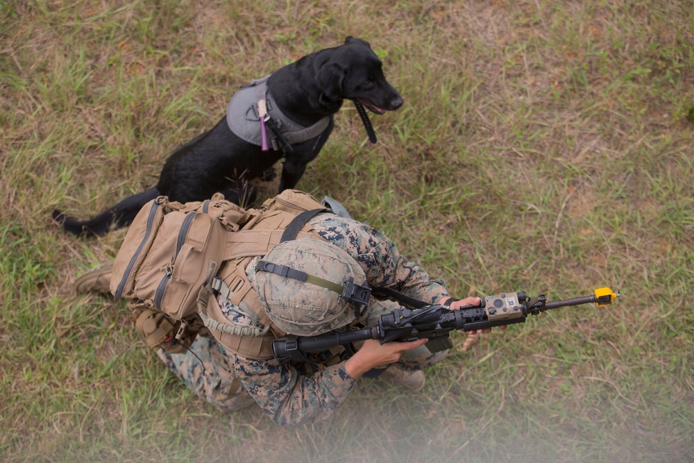 DVIDS - Images - BLT 1/1 Conducts Motorized Raid [Image 4 Of 6]