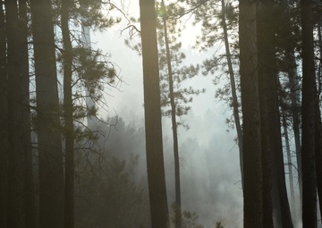 Ellsworth Airmen assist in wildfire consuming Custer