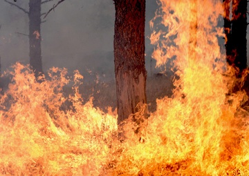 Ellsworth Airmen assist in wildfire consuming Custer