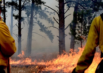 Ellsworth Airmen assist in wildfire consuming Custer