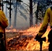Ellsworth Airmen assist in wildfire consuming Custer
