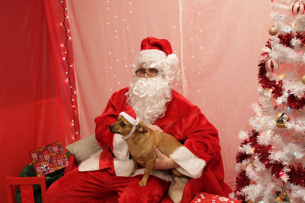 Marne pets pose with Santa Claus