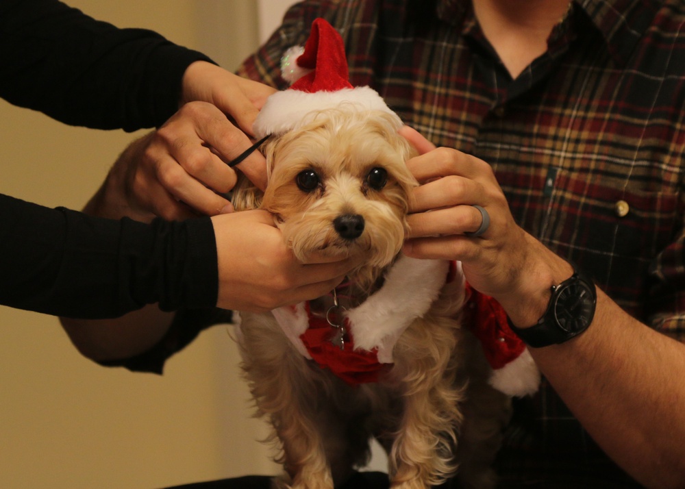 Marne pets pose with Santa Claus