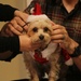 Marne pets pose with Santa Claus