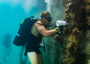 UCT-2 and MDSU-1 Conduct Underwater Pier Survey in Apra Harbor