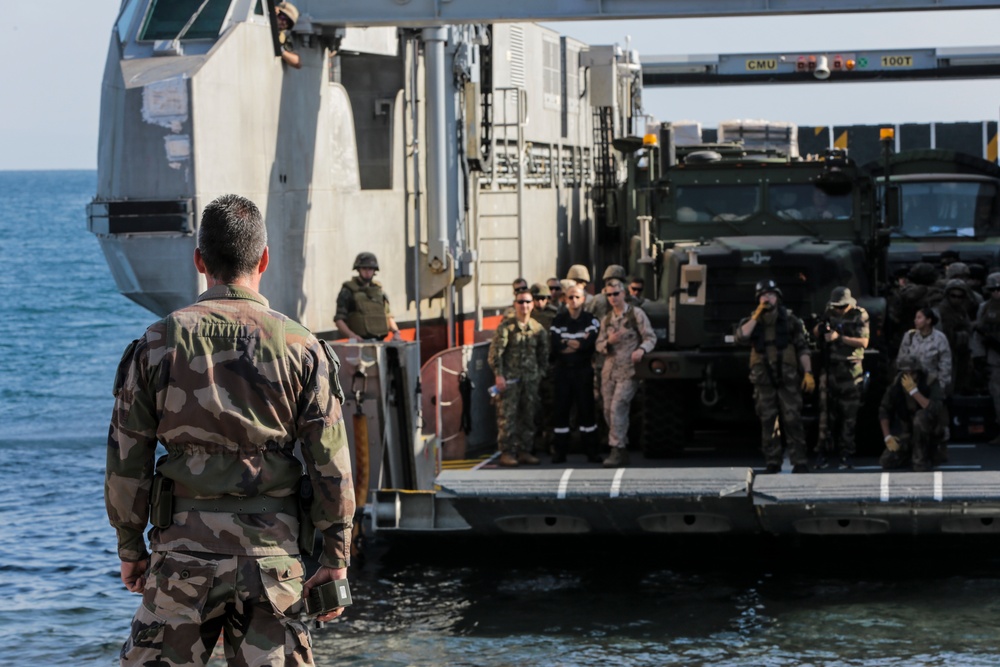 French, U.S. military prepares for Alligator Dagger