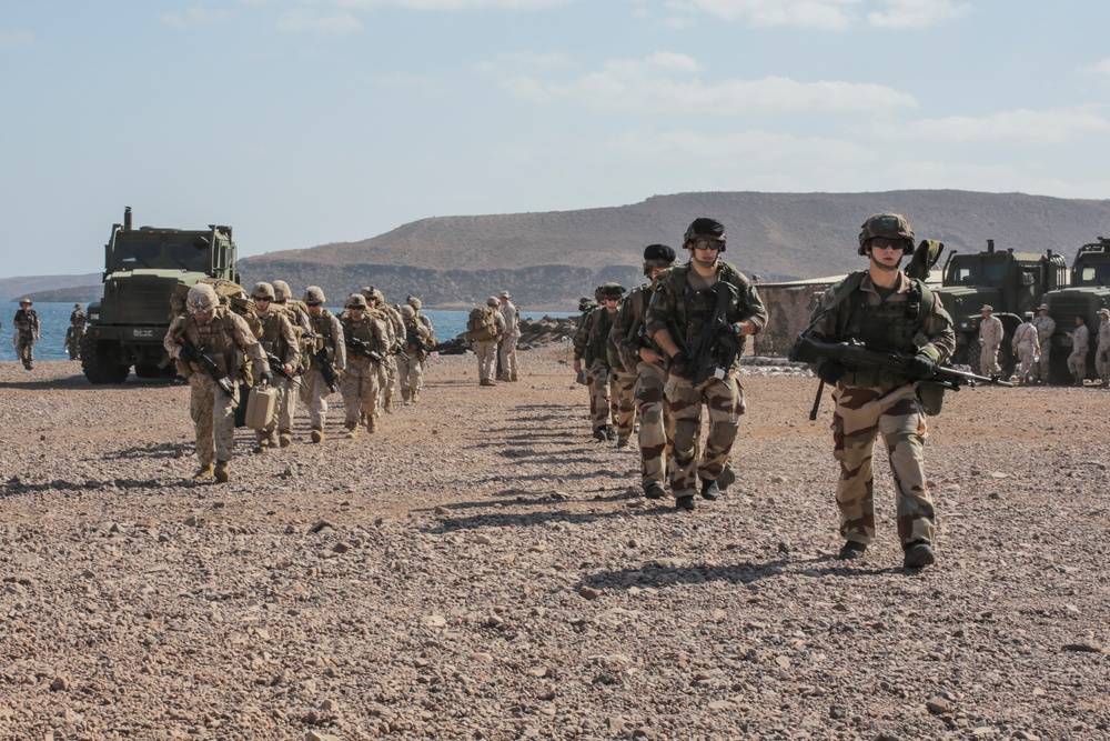 French, U.S. military kick off Alligator Dagger