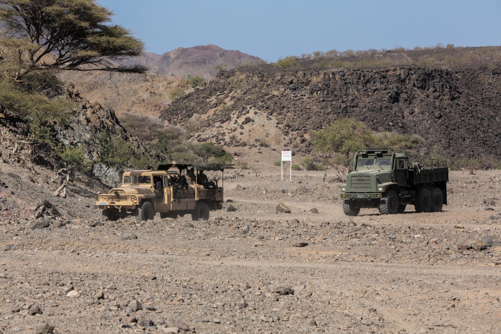 French, U.S. military kick off Alligator Dagger