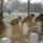 Wreaths Across America at Arlington National Cemetery 2017