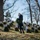 Wreaths Across America at Arlington National Cemetery 2017