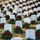 Wreaths Across America at Arlington National Cemetery 2017